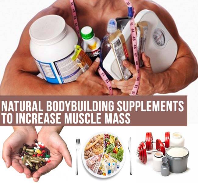 top natural body building supplements