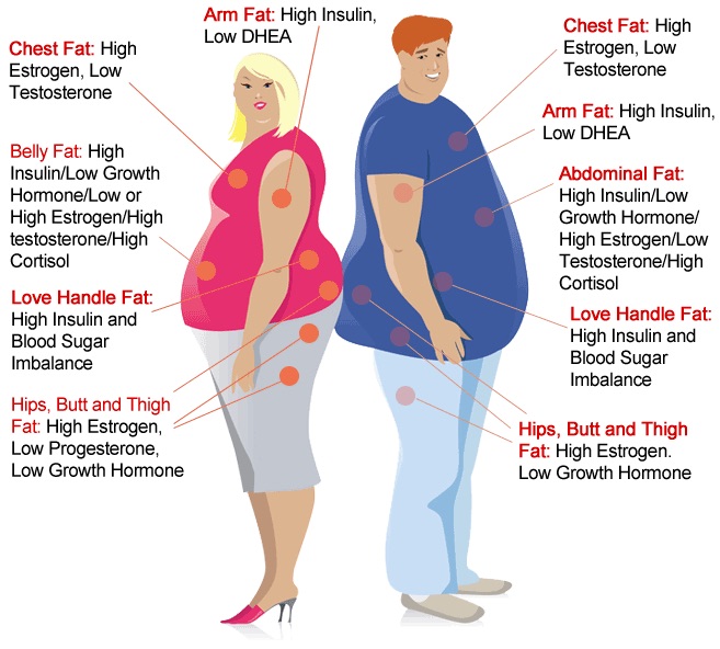 hormone health and weight loss